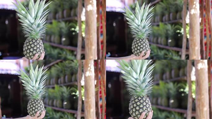 视频拿着一个菠萝，架子上摆满了菠萝作为背景