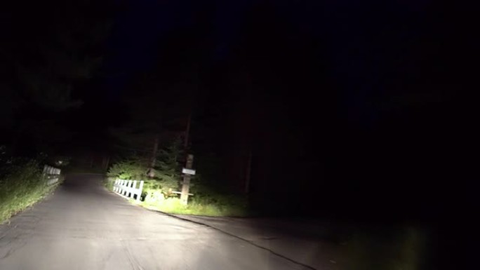 夜间驾车穿越森林。