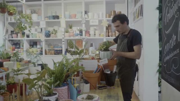 植物商店的工人在小型植物学和礼品店中盆栽植物