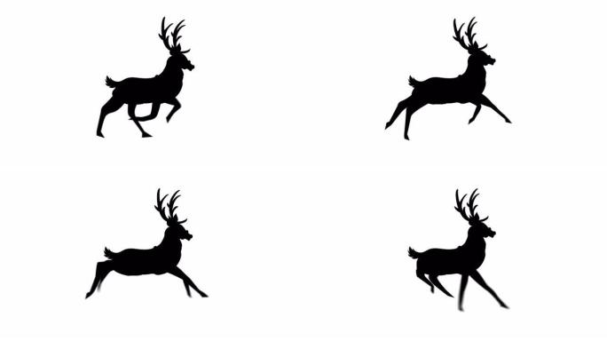 驯鹿黑色剪影在白色背景下运行的数字动画