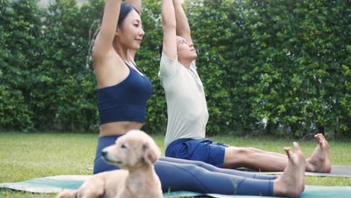 年轻的健身夫妇和他们的宠物狗在房子的花园里练习瑜伽。亚洲妇女和高加索男子在公园户外训练