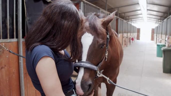 一名年轻成年女子在马厩里抚摸马时的慢动作视频