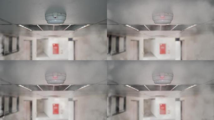 公共场所的烟雾报警器。带有烟雾和光线的动画。光的频率从慢到快闪烁。主题在中间。