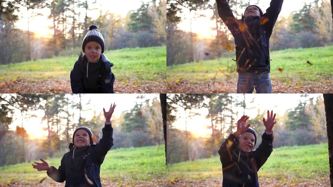 孩子在公园里玩耍，扔树叶。阳光穿透了松树林。孩子的笑声和喜悦。