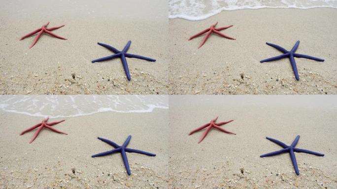 两只红色和蓝色的海星躺在沙滩上