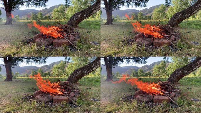 草地上的篝火。橙色的大火焰和白烟。森林的草地。燃烧着巨大的火焰。明亮，热，光，露营，大篝火