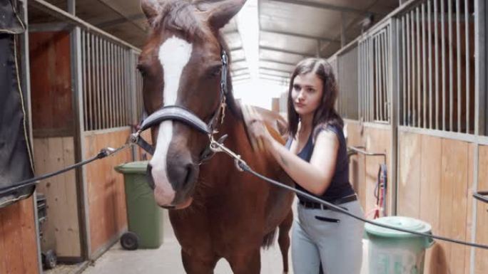 一名年轻成年女子在马stable里刷马时的慢动作视频