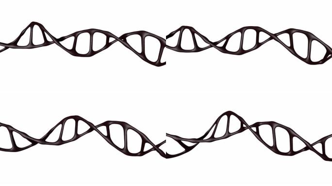 DNA分子基因分离。