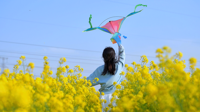 春天油菜花田风筝蜜蜂乡村田野旅游乡村振兴