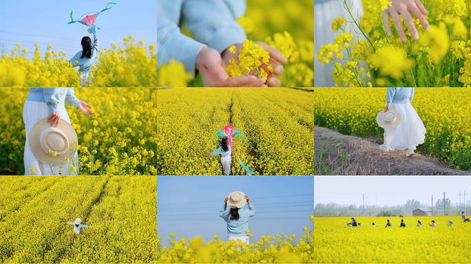 春天油菜花田风筝蜜蜂乡村田野旅游乡村振兴