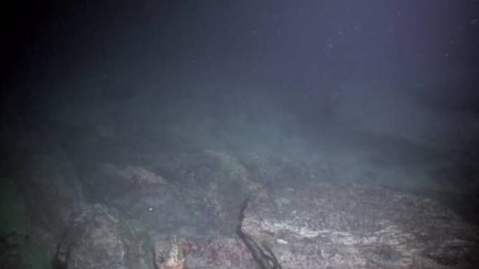 贝加尔湖岩石底部的水下石头。