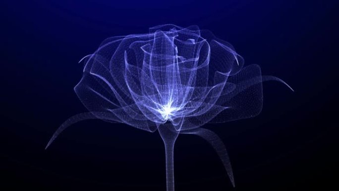 美丽的玫瑰花，发光的光线和闪亮的颗粒，超逼真的数字3D动画与相机运动，3D概念艺术，特写视图，30F