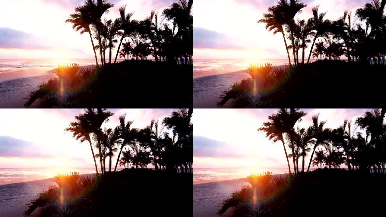 无尽大海上令人惊叹的黄昏日落。蓝天，黄太阳，棕榈树，无尽的海洋和海景。夏天，海边美丽的日落。循环动画