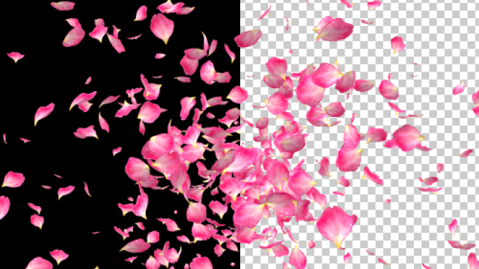 桃花樱花花瓣散开转场超清晰4K画质