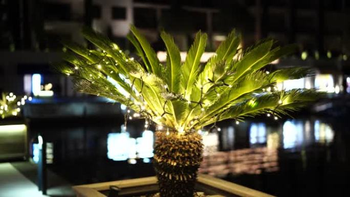 花盆中装饰棕榈树，用花环装饰。夜间圣诞节假期的街头城装饰。