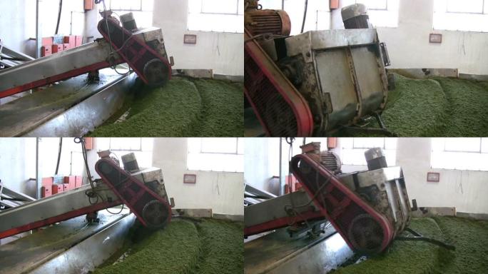 混合茶在工厂被机器洗牌