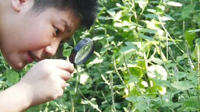 亚洲男孩在户外探险期间使用放大镜进入森林自然保护区。