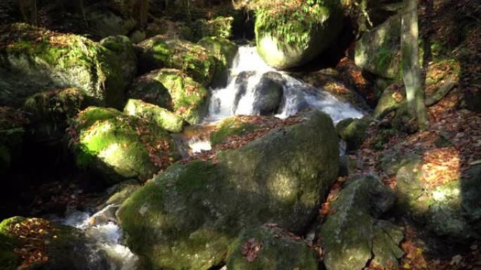 秋天的森林溪流石头青苔山间流水山中流水