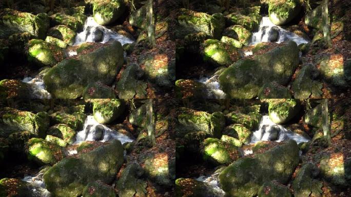 秋天的森林溪流石头青苔山间流水山中流水