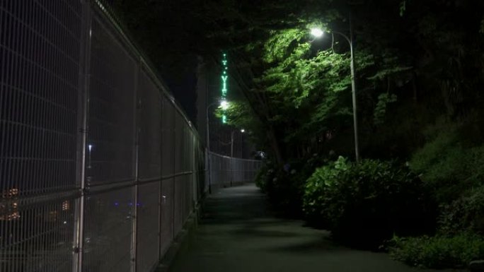 田畑在日本，东京午夜