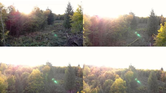 无人驾驶飞机飞越瑞士布鲁格附近的秋季森林。阳光过度暴露。