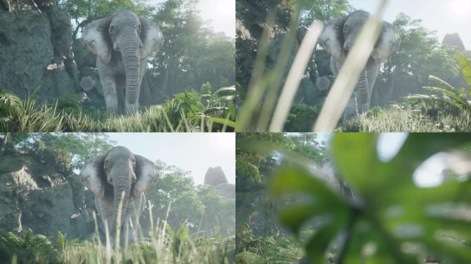 清晨，一头灰色的非洲象穿过绿色的丛林。动物动画，自然和教育背景。看看非洲丛林。