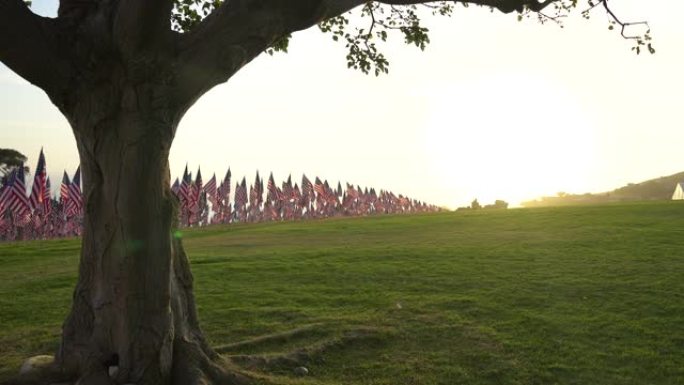 在阵亡将士纪念日的日落上，一组美国国旗在风中飘扬。美国加州洛杉矶。低角度的观点。镜头光晕。田野上长满