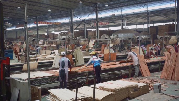 木业建材工厂工人人文1分钟短片