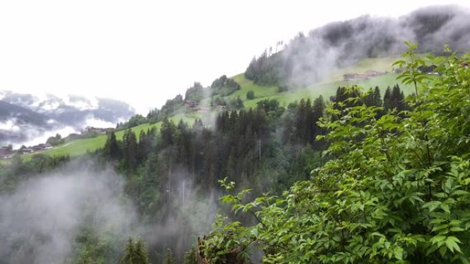 有雾的山地景观俯瞰宣传片植被覆盖