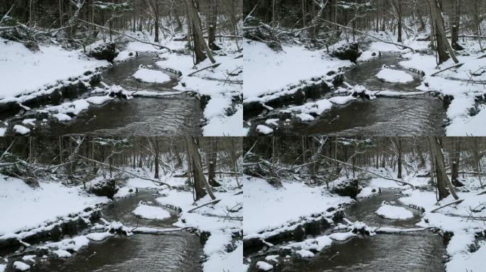 雪落北海道森林溪冬天山林积雪
