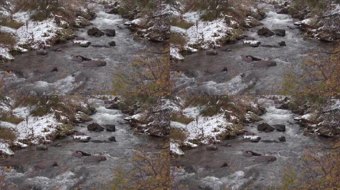 快速的山河流经秋天的森林，岸上积雪
