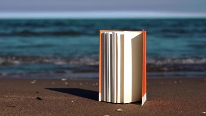 在沙滩上的微风挥舞着书页
