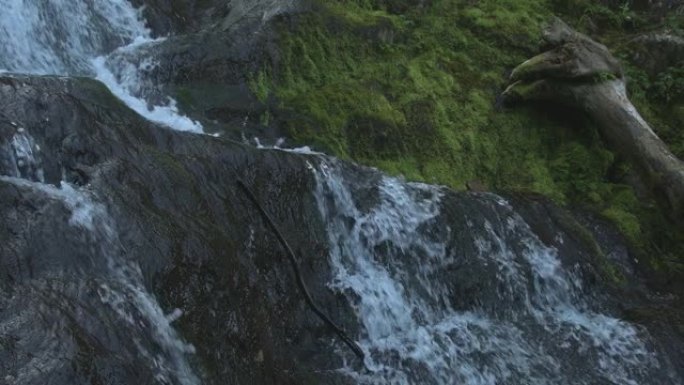 有水晶水的山瀑布。溪流流过长满苔藓的巨石和浮木