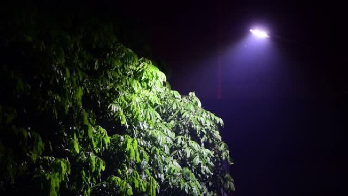 路径路灯黑夜灯光街道街头道路路边