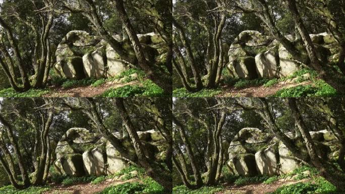 葡萄牙辛特拉的神秘森林
