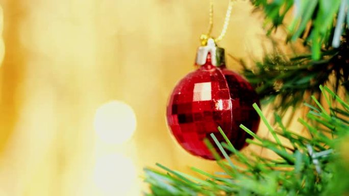 圣诞泡泡挂在松树上，圣诞概念。