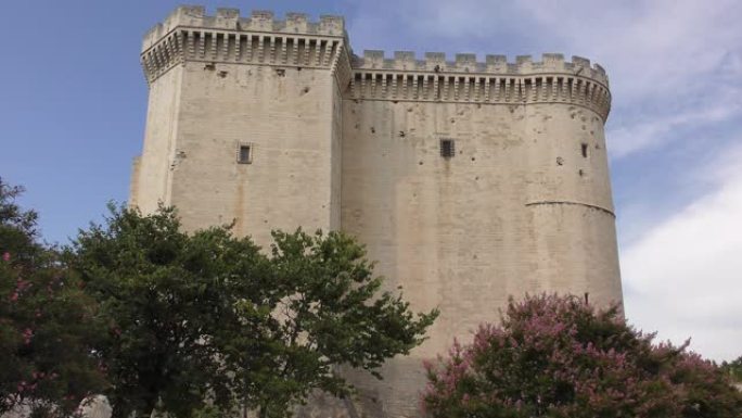 法国塔拉斯孔中世纪城堡