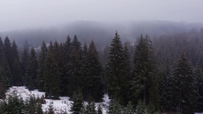 以4k拍摄的雪雾笼罩的冬季森林