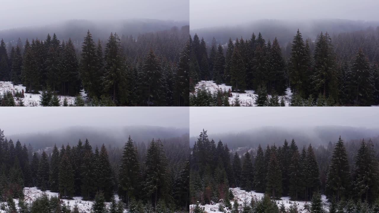 以4k拍摄的雪雾笼罩的冬季森林