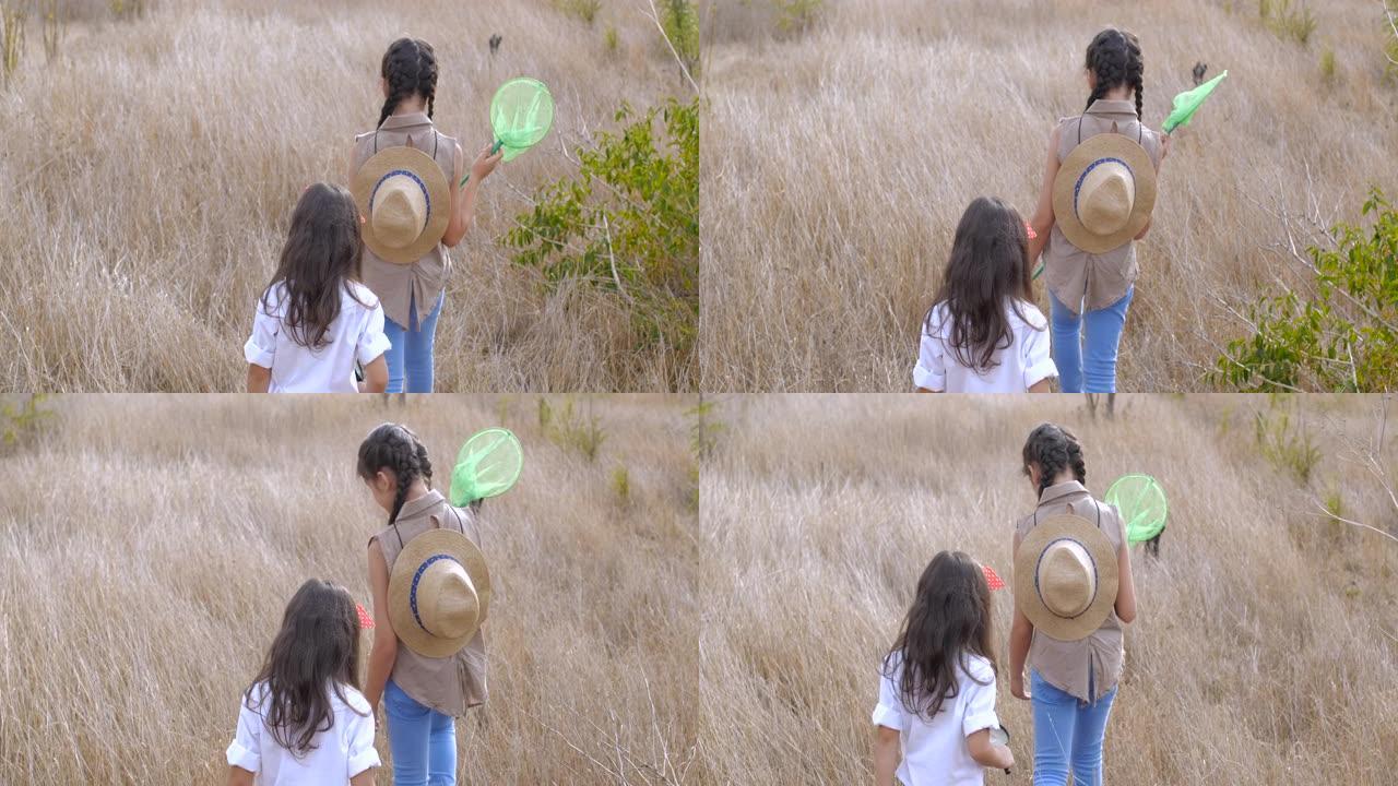 探索世界的孩子。两个四岁和七岁的小女孩扮演科学家，用网捉住昆虫，用放大镜看着它们。有趣有趣的童年故事