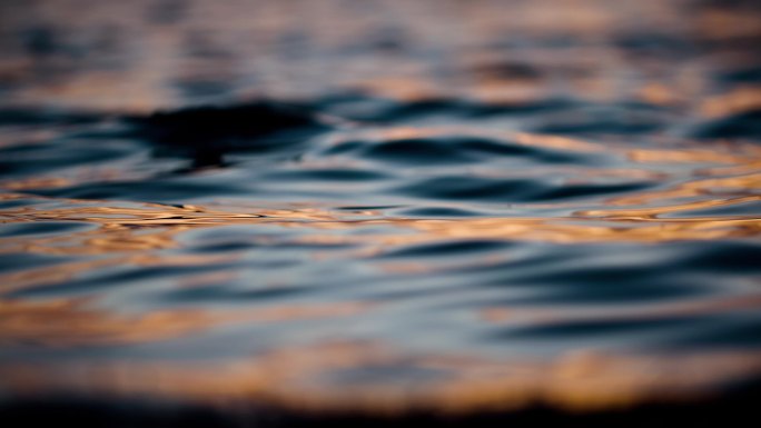 金色水面湖面夕阳下的水面波浪波光