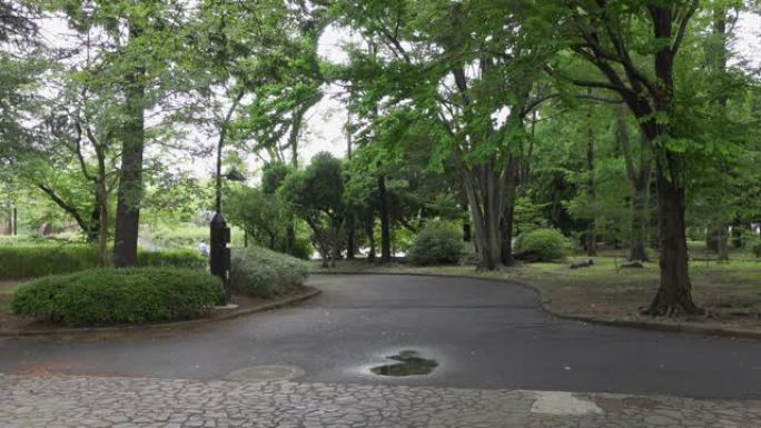 雨季，日本的Sarue Onshi公园东京