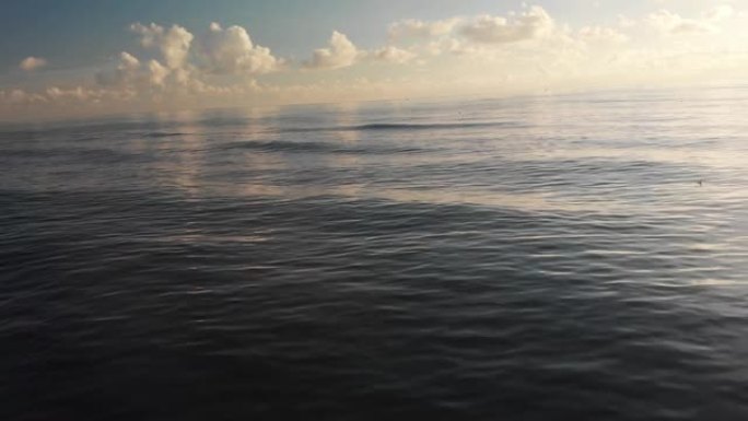 Pov视图在水面附近向前飞行，直到深海有平静的缎面水面
