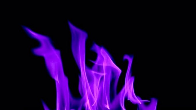 燃烧蓝色火焰的特写，黑色背景上燃烧的蓝色火焰，慢动作