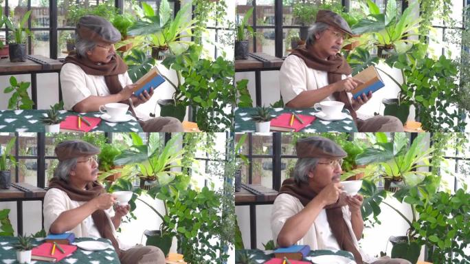 4k亚洲老人在温室花园喝茶读小说。快乐的男性退休养老金领取者在家放松和享受休闲活动。老年人爱好生活方