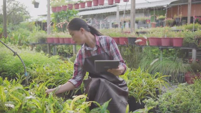 在温室农场使用数字平板电脑的亚洲女园丁