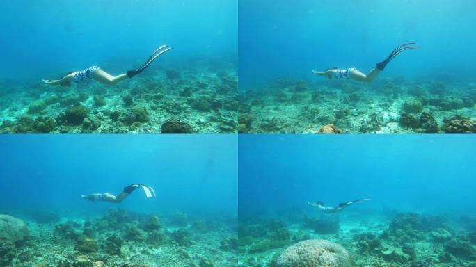 4k年轻女子自由潜水员穿长鳍，海豚踢式潜水在海洋中清澈的海水珊瑚礁