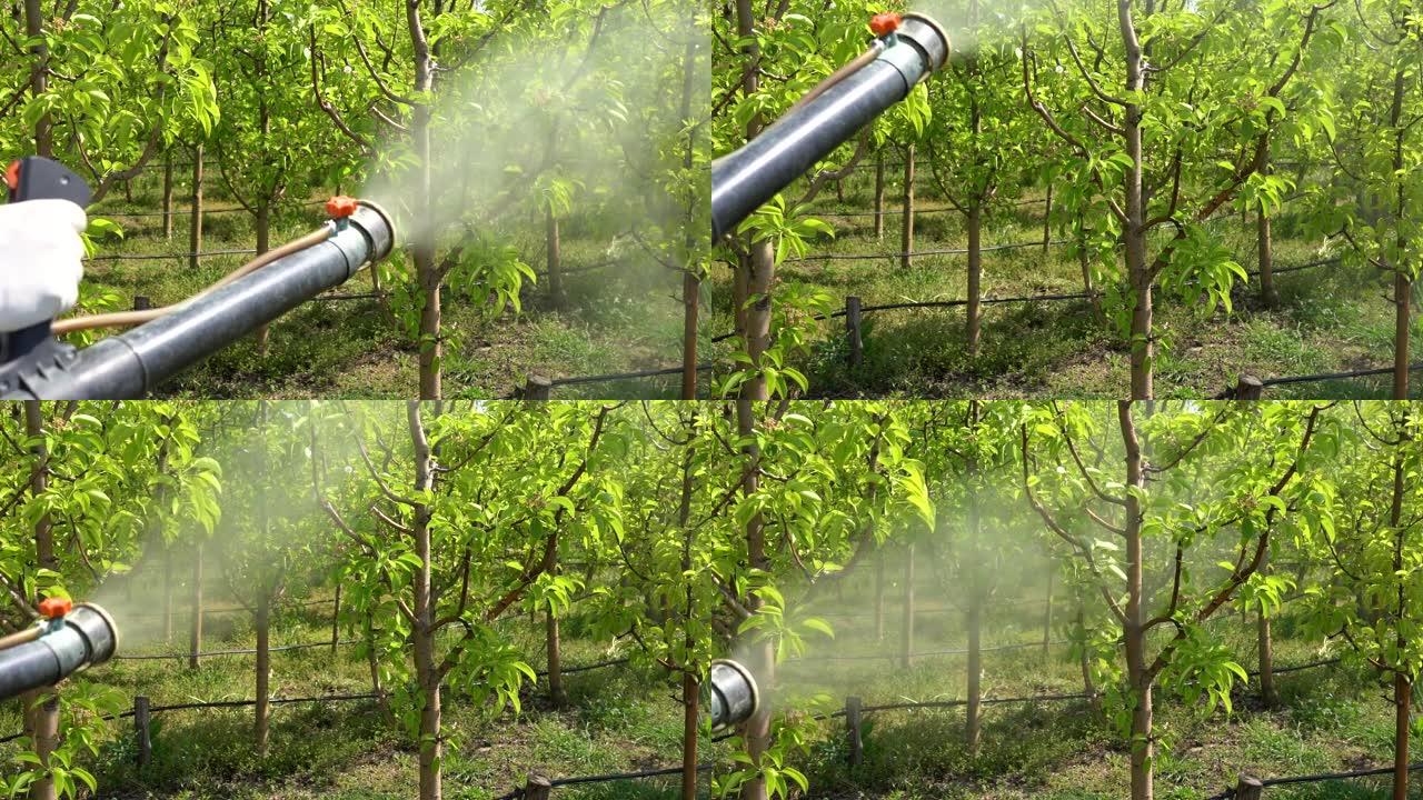春季雾化喷嘴喷洒果园