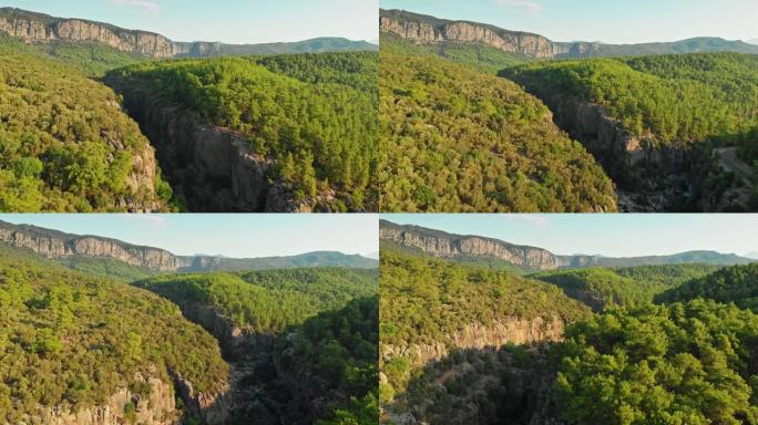 峡谷和森林地理森林覆盖率