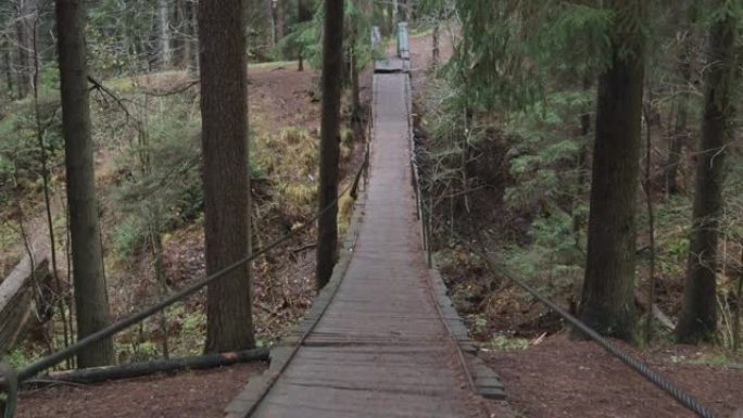 悬索桥在荒野的森林中极限遨游大自然